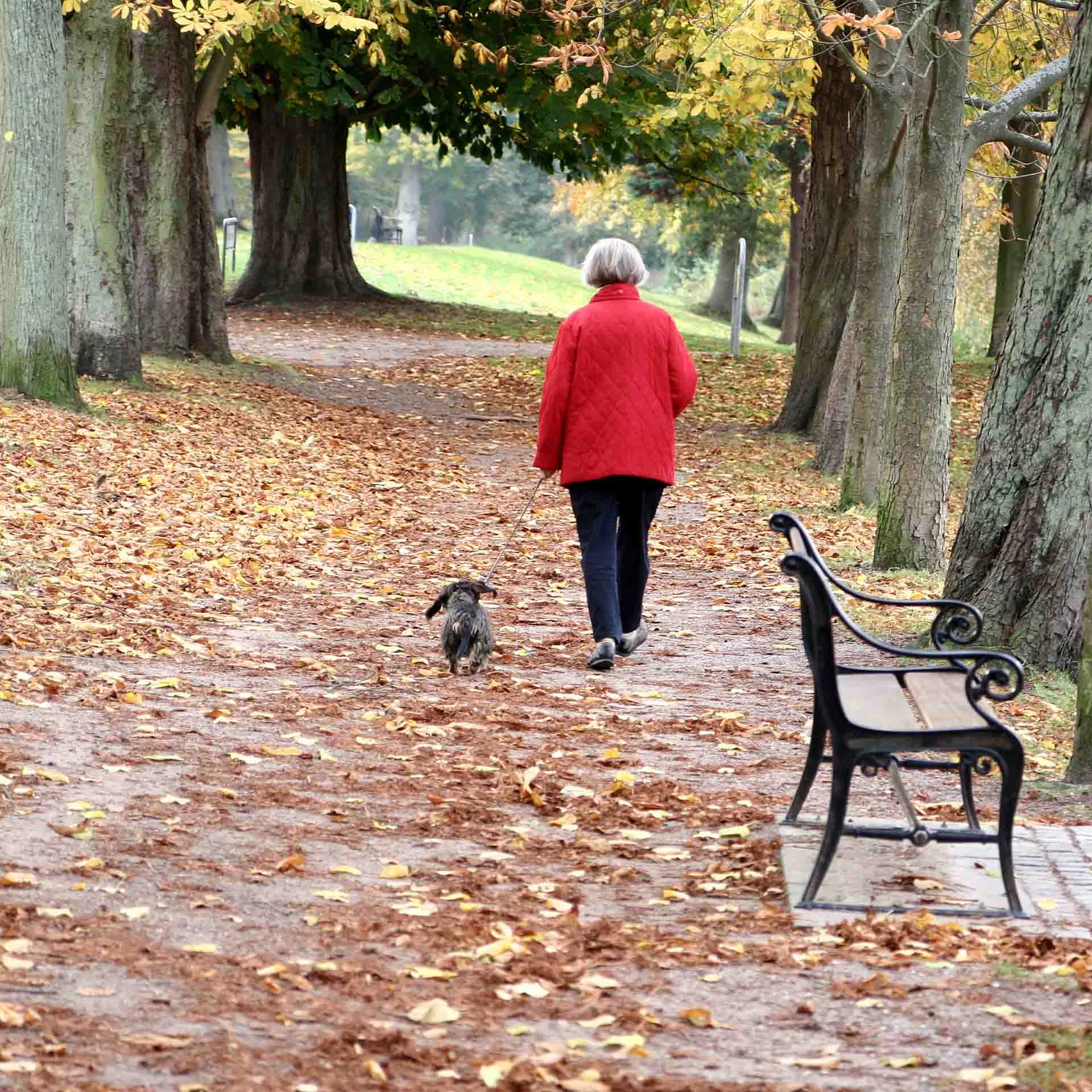 Færre vil modtage tillæg til folkepensionen